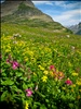 Glacier National Park